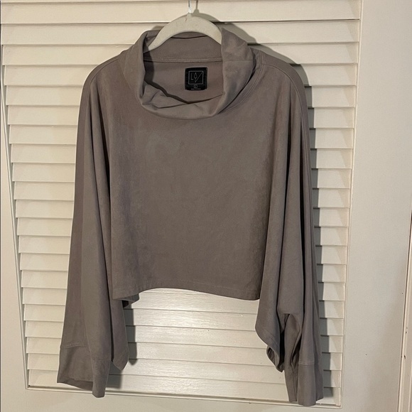 Lime & Vine Tops - Lime & Vine Gray Taupe Faux Suede Cowl Neck Dolman Sleeve Cropped Top Overlay